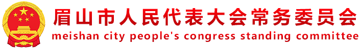 新聞網new